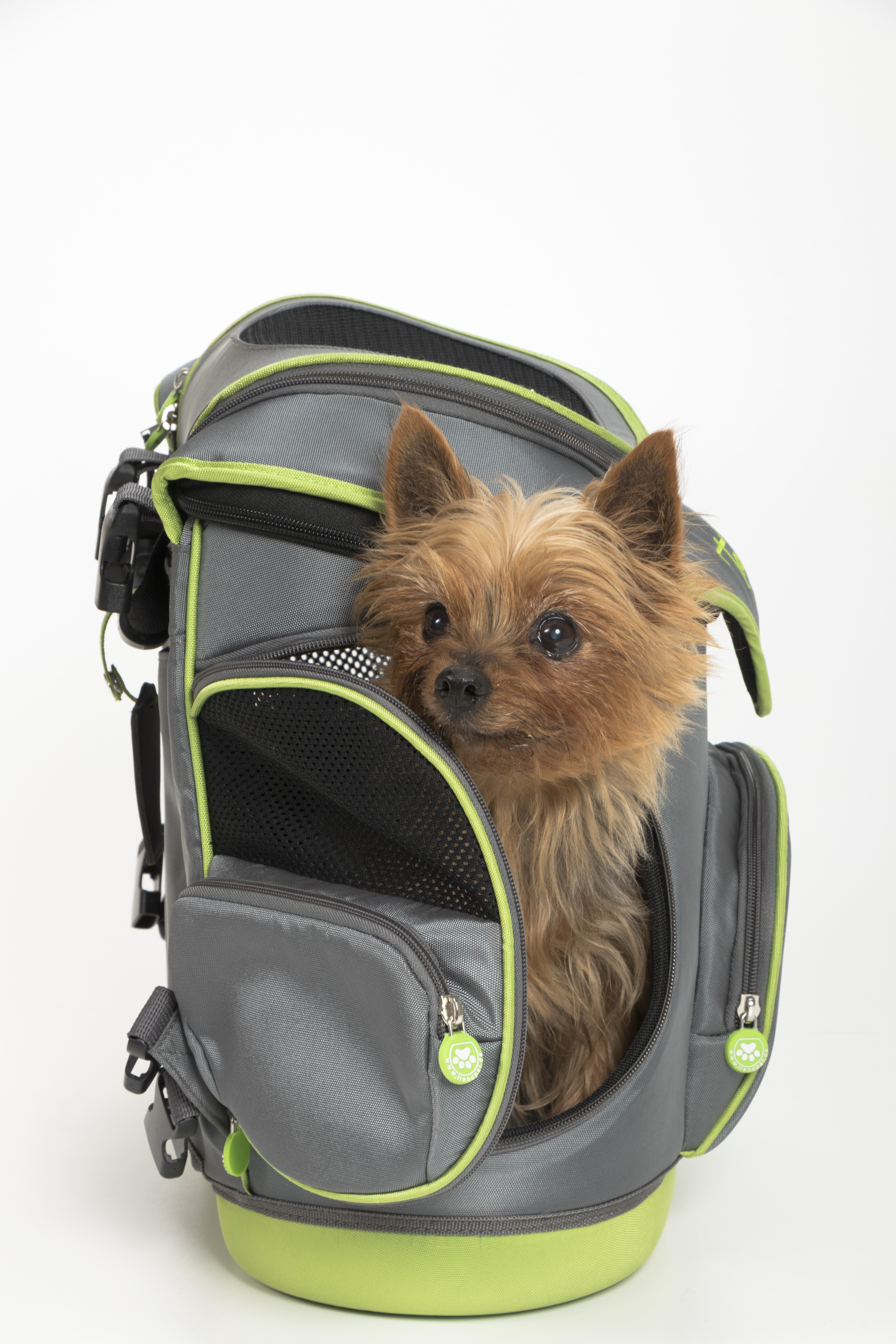 Miri - Multifunktionstasche für Hunde