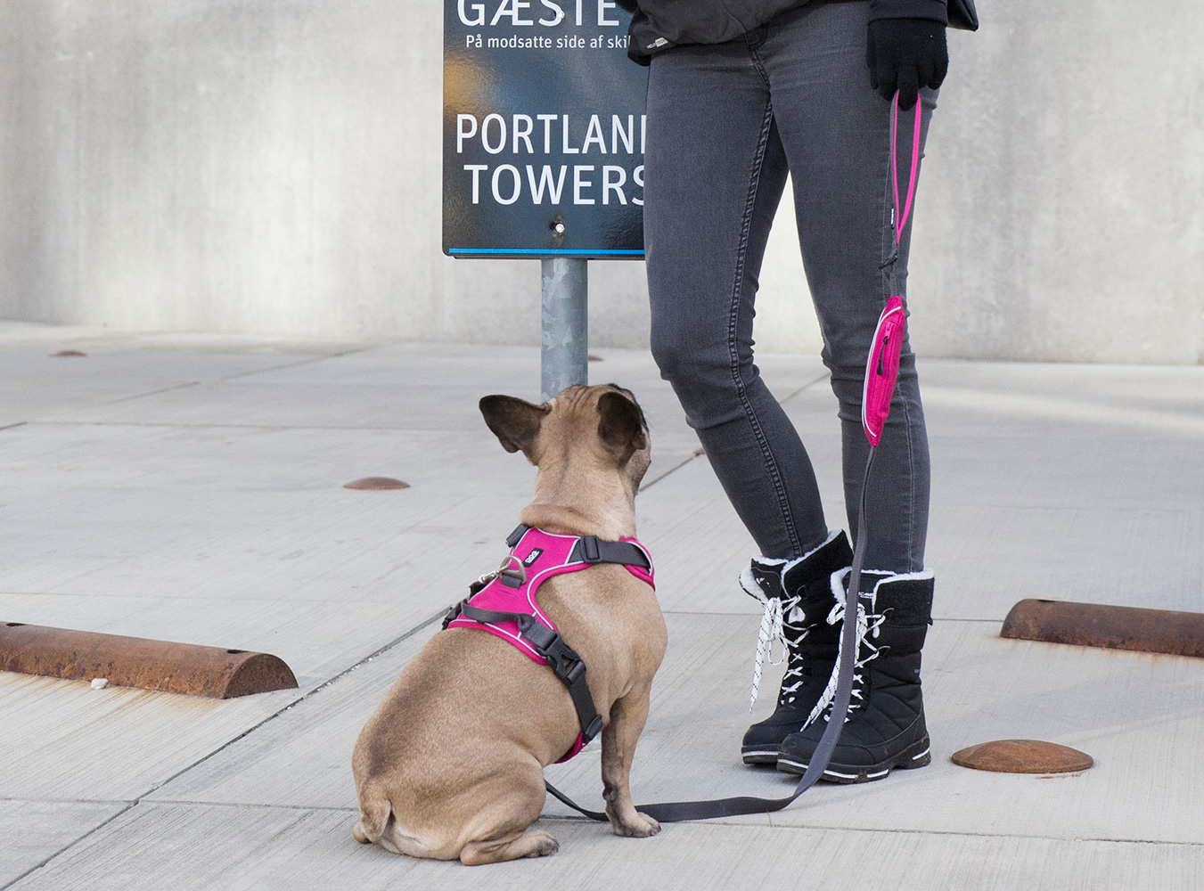 UrbanTrail_1-Outdoor_6295 Urban Trail Leash Wild Rose S (Dog Copenhagen)