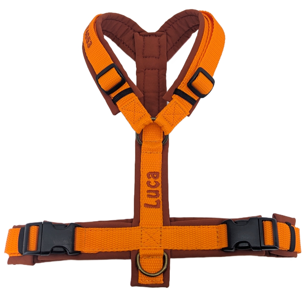 Geschirr Copper Trail