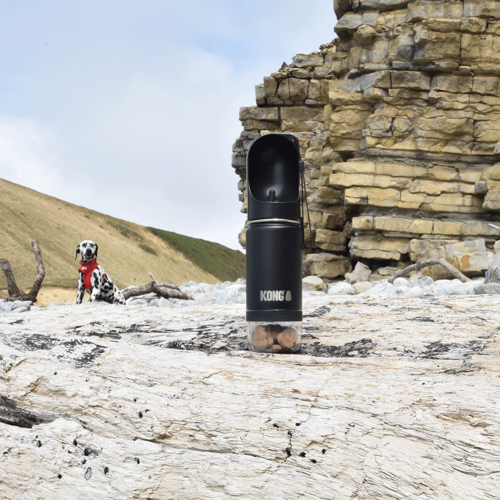 KONG Trek & Treat