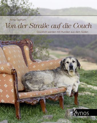 Von der Straße auf die Couch