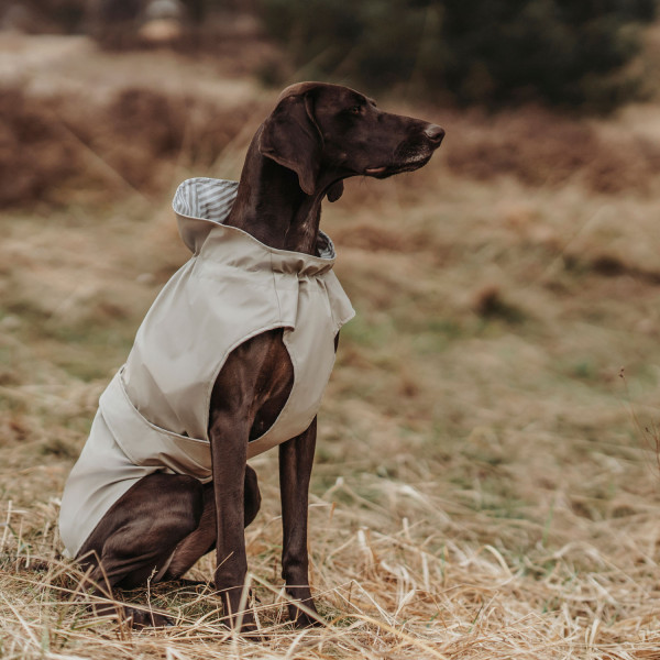 Hunde-Regenmantel Milford Hunde-Regenmantel Milford