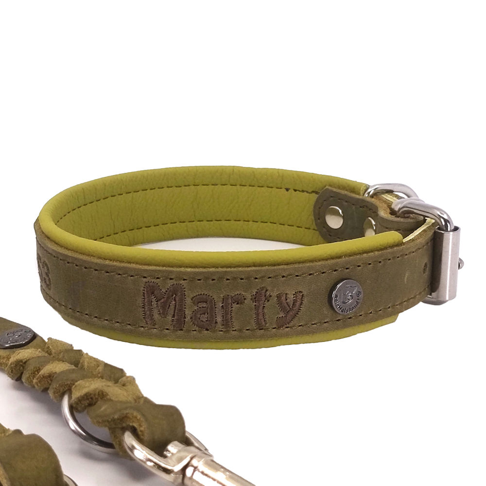 American Bully Leder Hundehalsband Luxus Hundehalsband Bully - .de