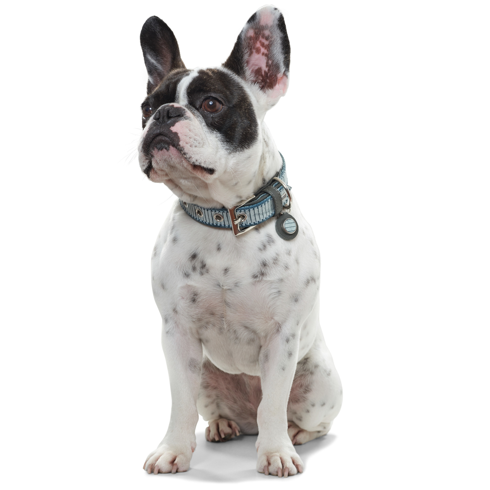 HUNTER_7755_63367_002_image_16-lpr Halsband Lima 30 blau/grau Leder