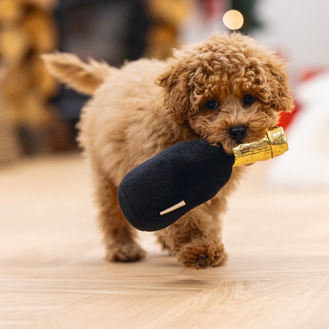 Hundespielzeug CHAMPAWNE