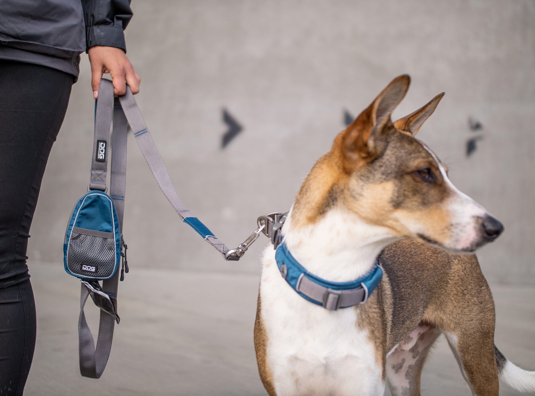 V2 Urban Trail Leash