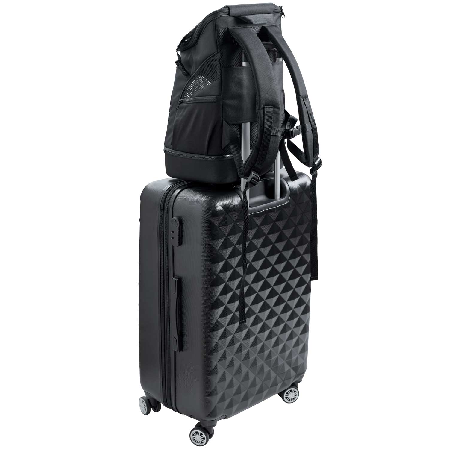 Flugtasche & Rucksack Miles Flugtasche & Rucksack Miles