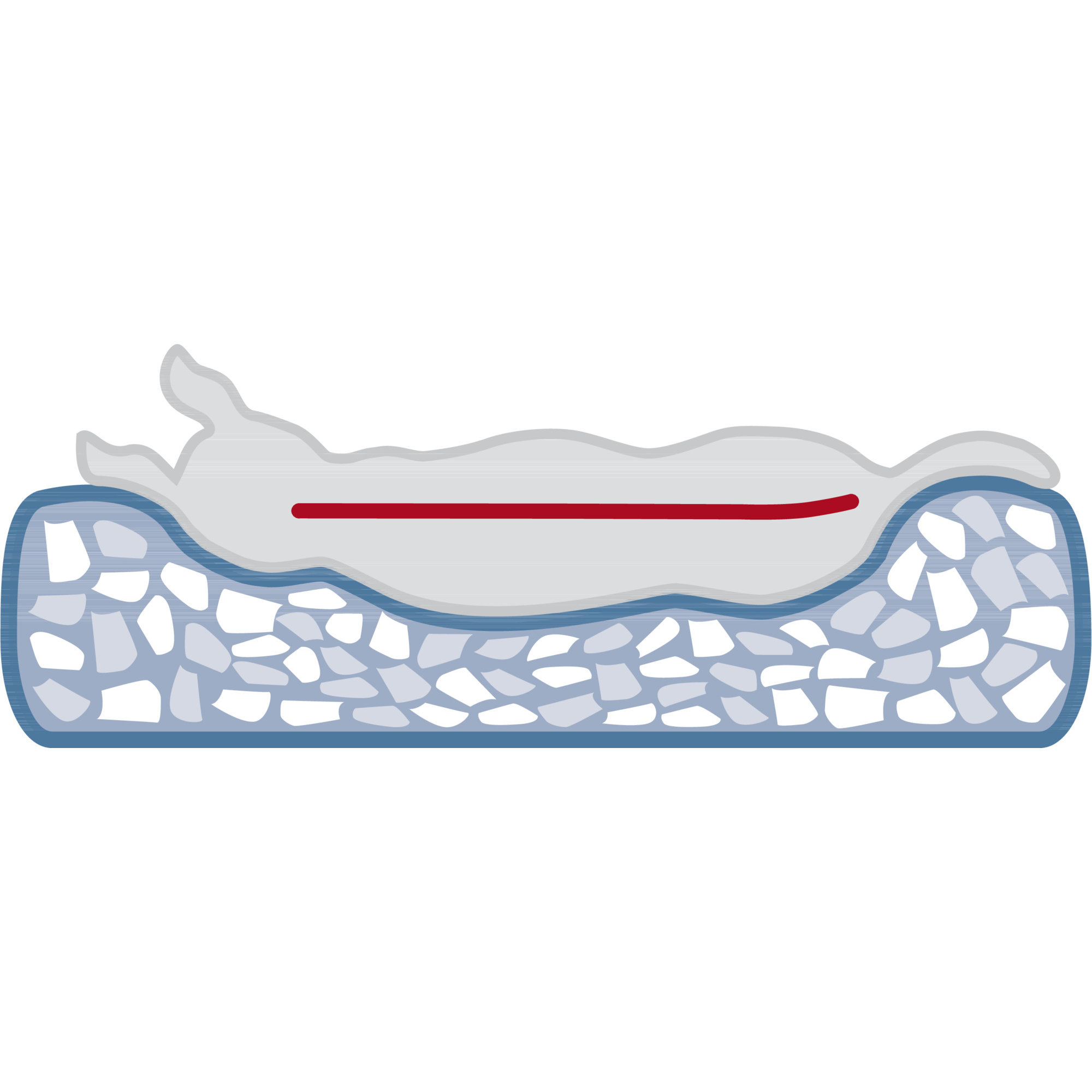 254101_GRA_PRO_VitalBett-Hund-5b Vital Bett Tonio
