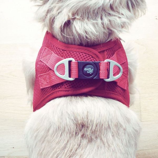 Vest Harness Air-Mesh Red 3XS