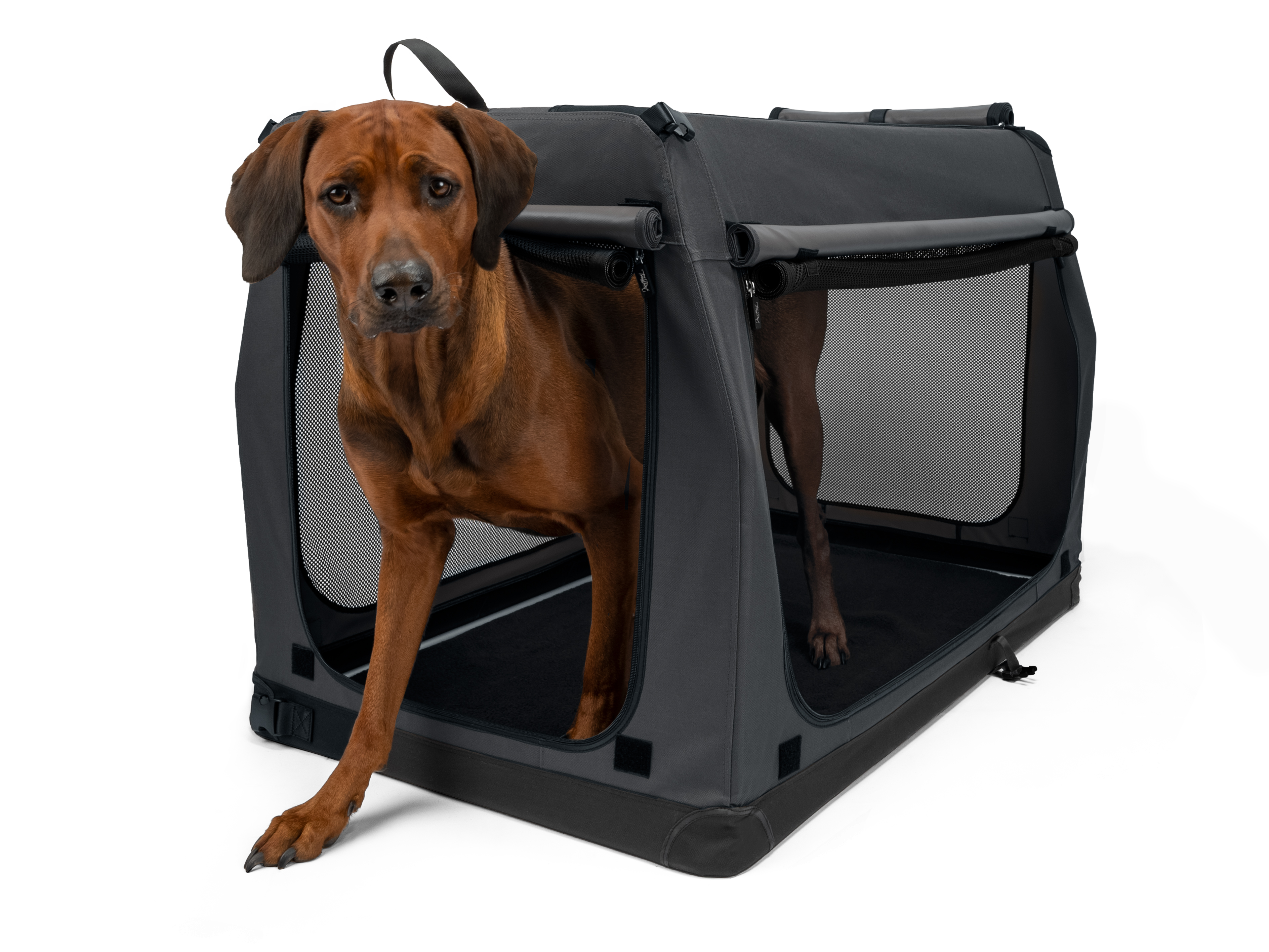 TPX-Pro Hundebox (KEIN VERSAND - nur Abholung möglich)