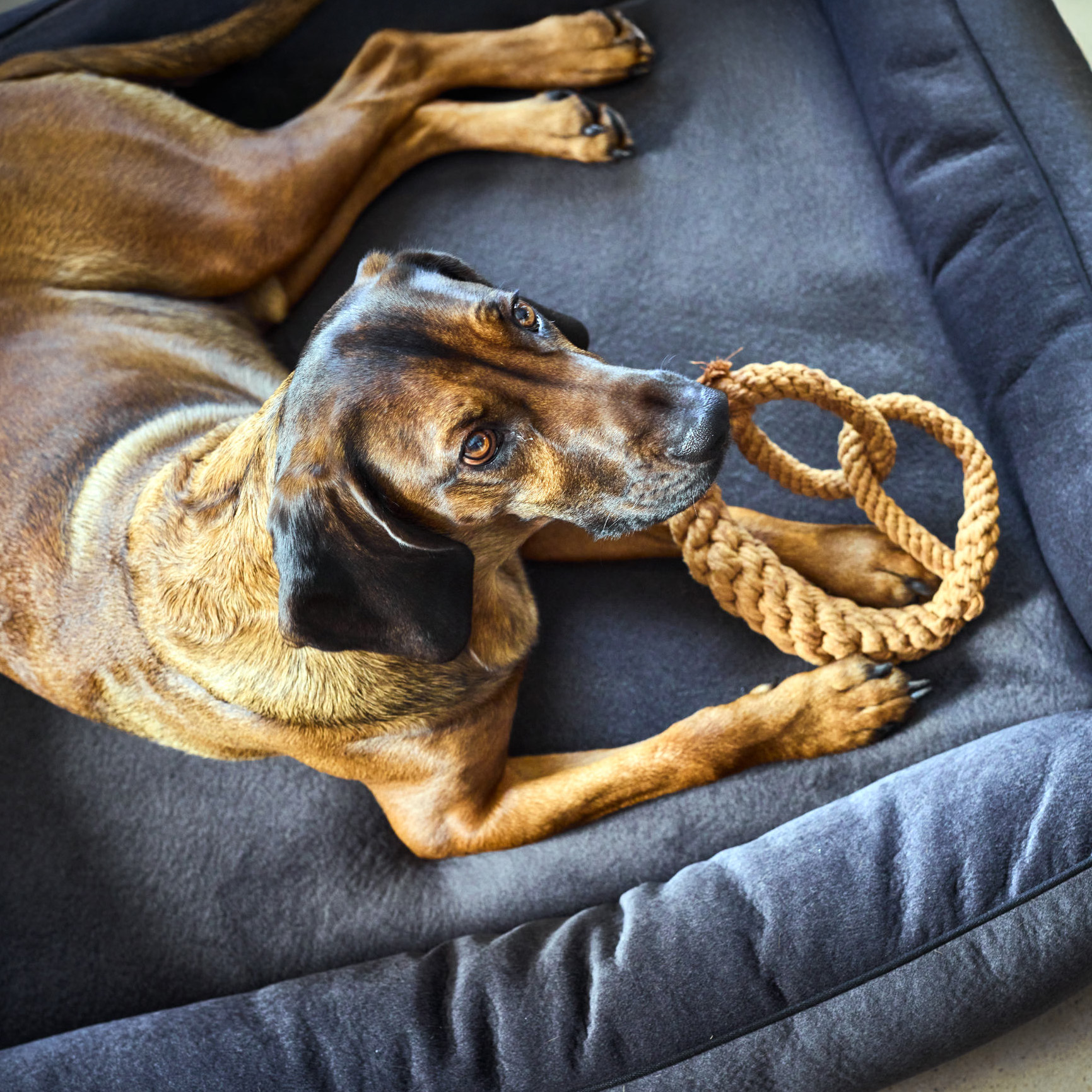 LABONI Britta Brezel