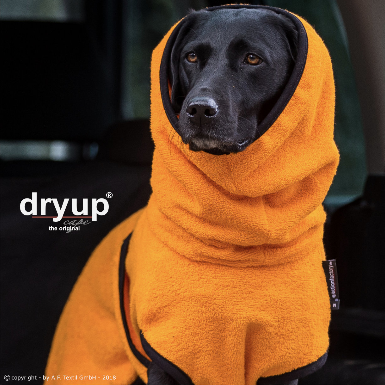 Dryup Cape Mini 45 clementine (orange)