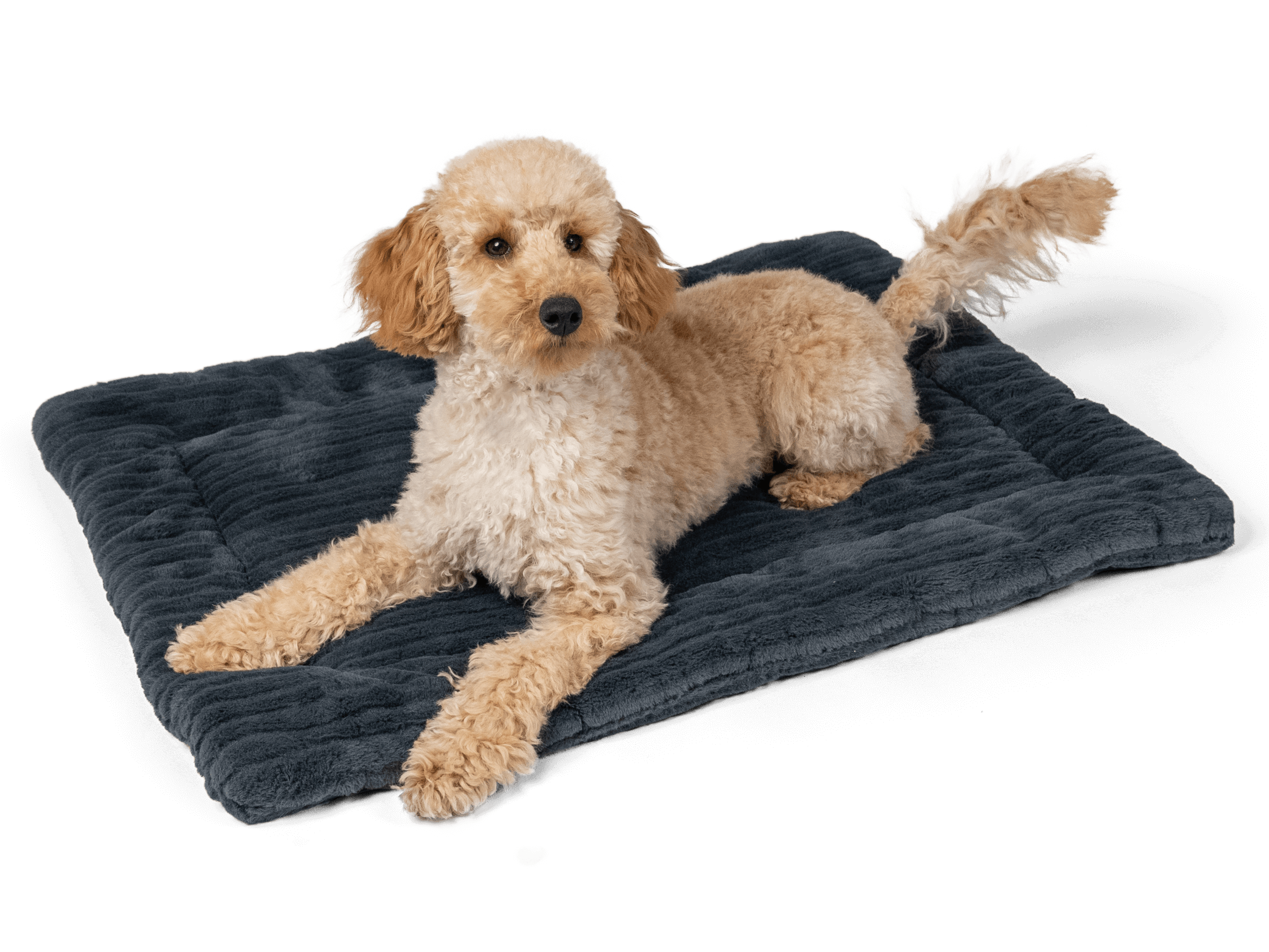 Harmony anthrazit Kuscheldecke