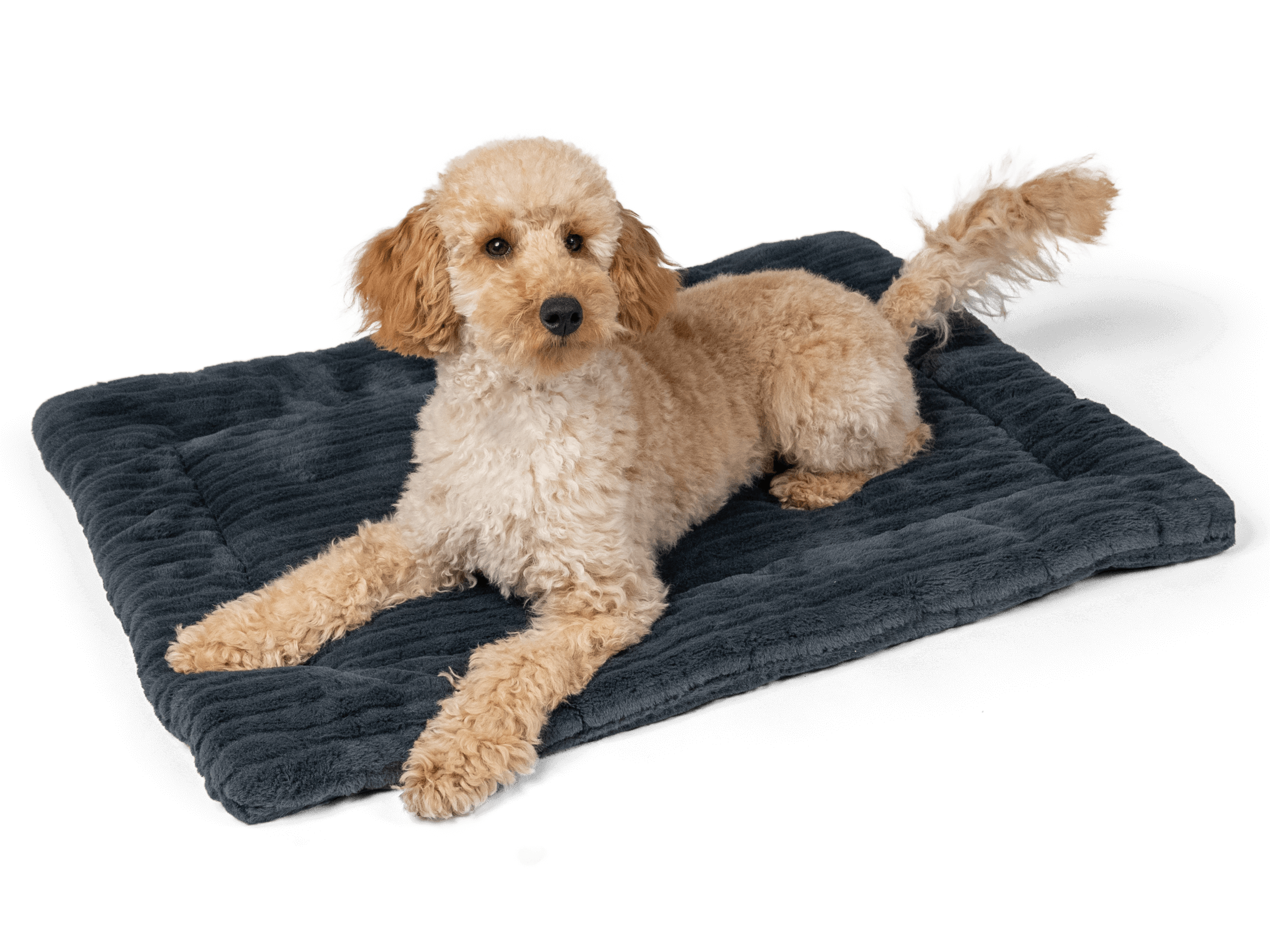 HARMONY  Hundedecke 4cm  anthrazit  50x35cm