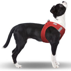 Vest Harness Air-Mesh Red 2XS