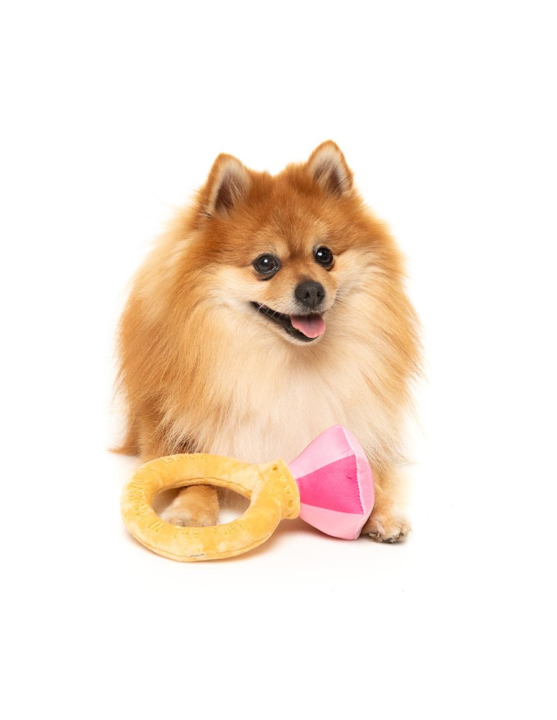 Diamond In The Ruff Ring