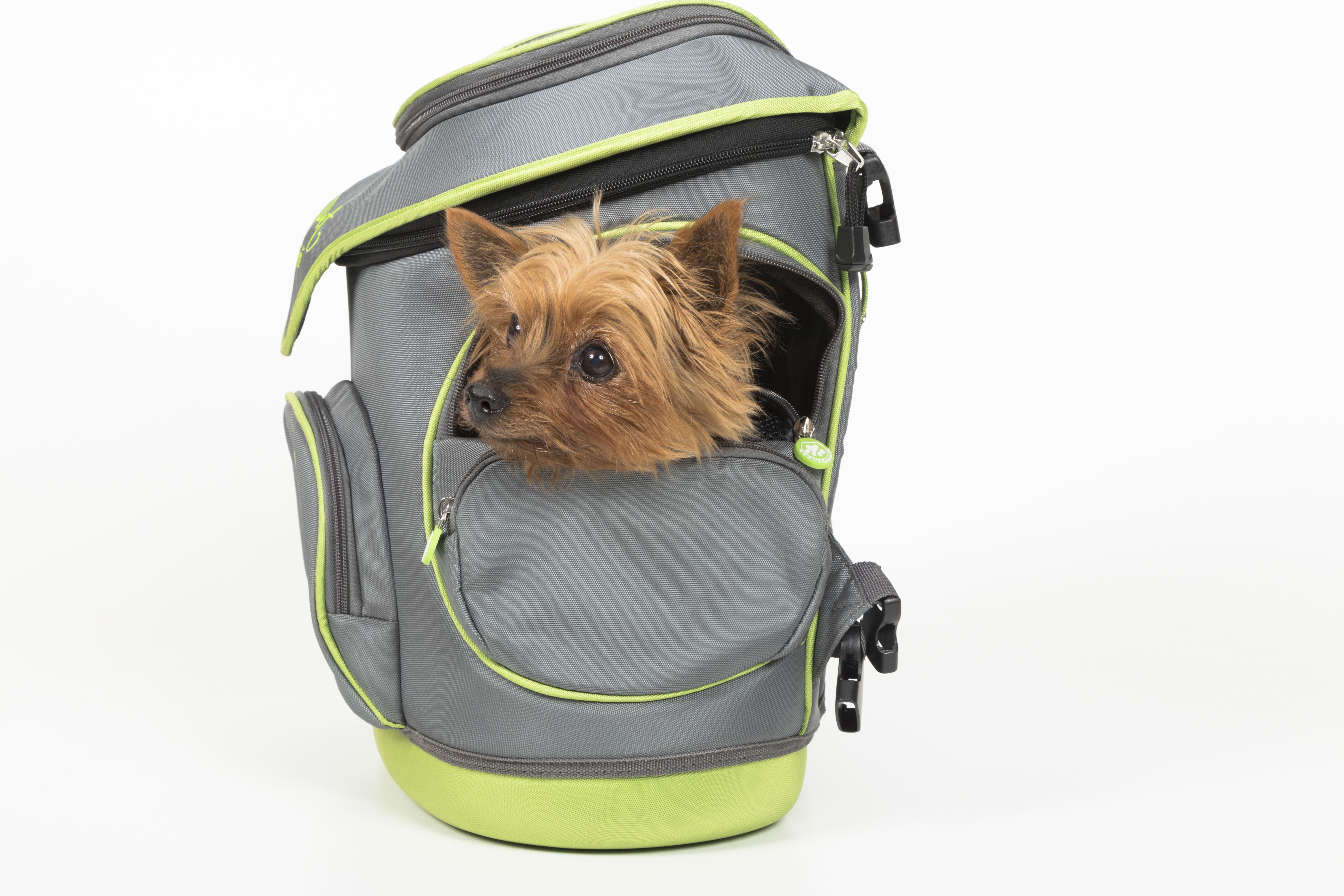 IMG_32832402 Hundetasche "Miri"