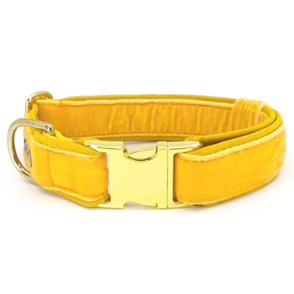 Halsband SAMT Mango