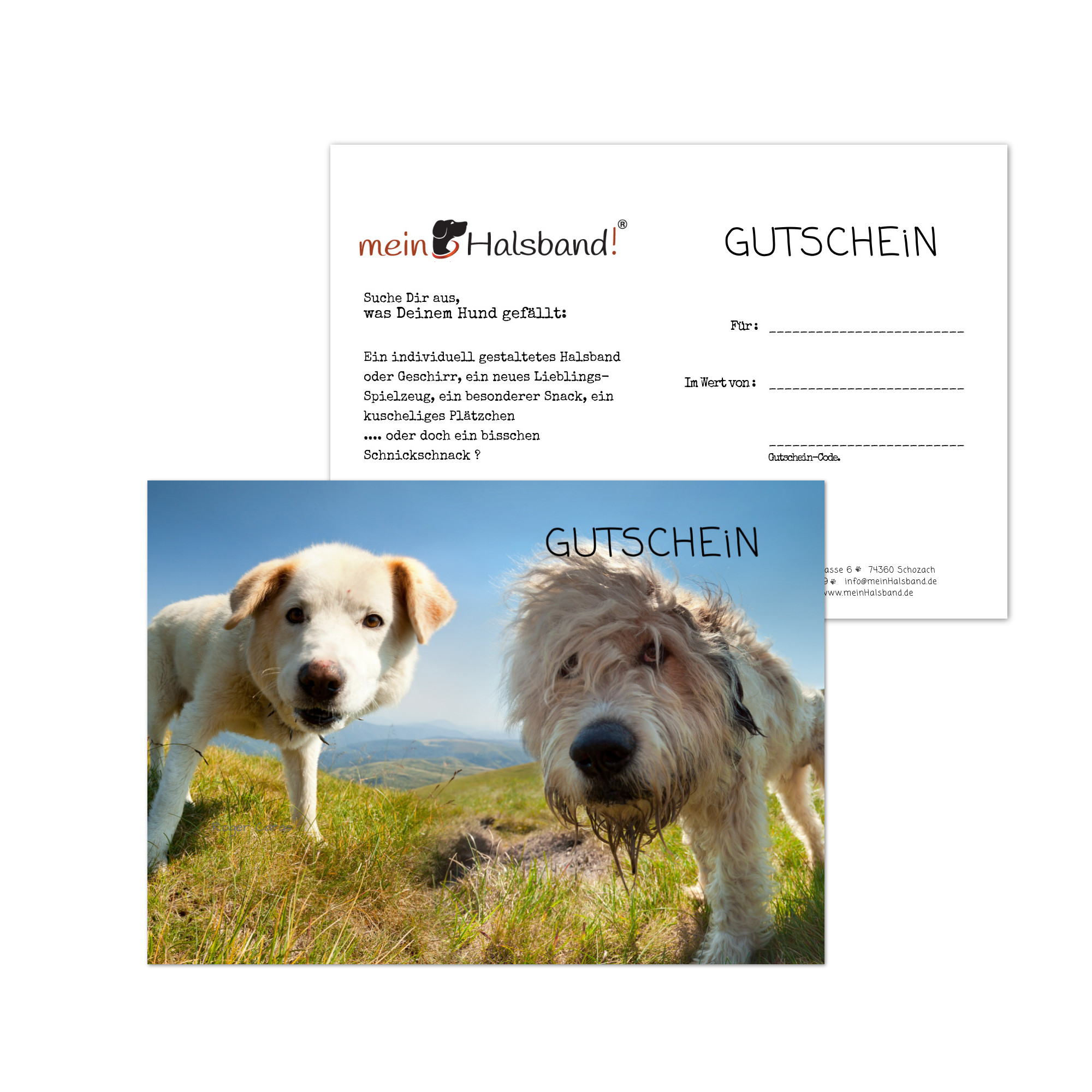 Geschenk Gutschein