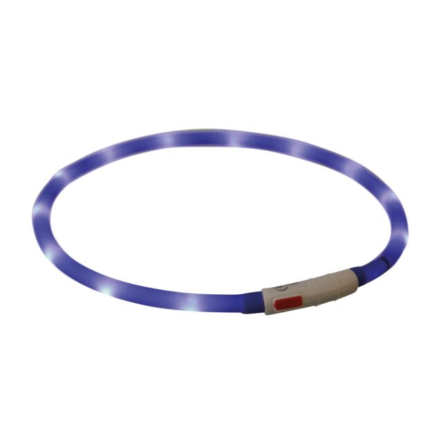 Flash Leuchtring USB blau