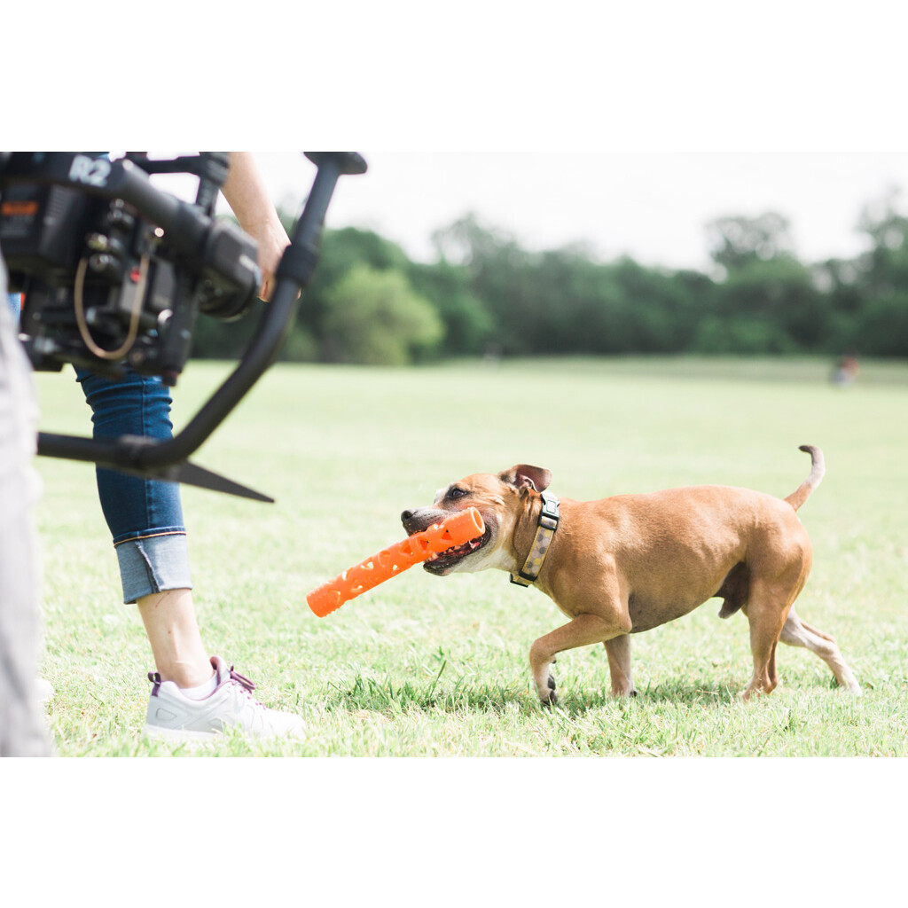 Chuckit Air Fetch Stick