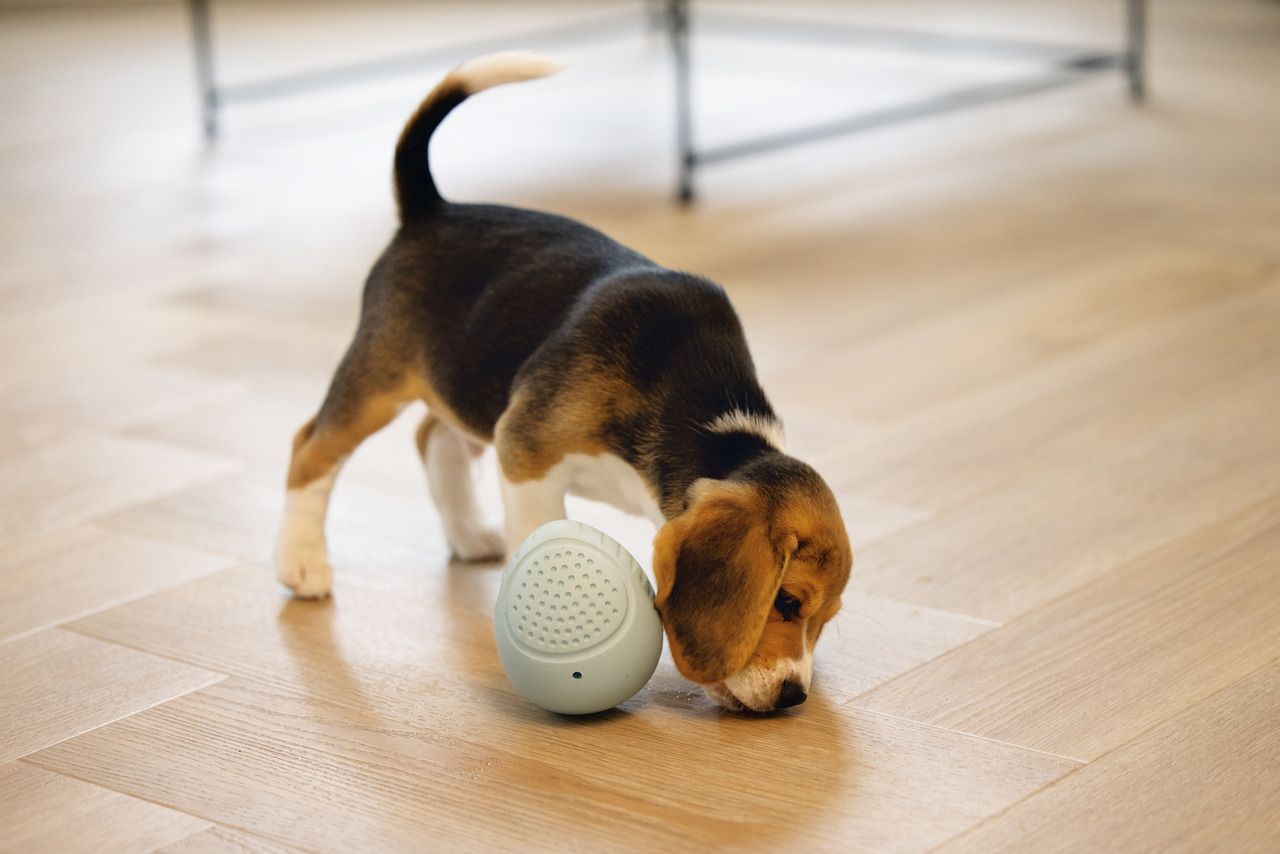 Beeztees Puppy Snack Ei