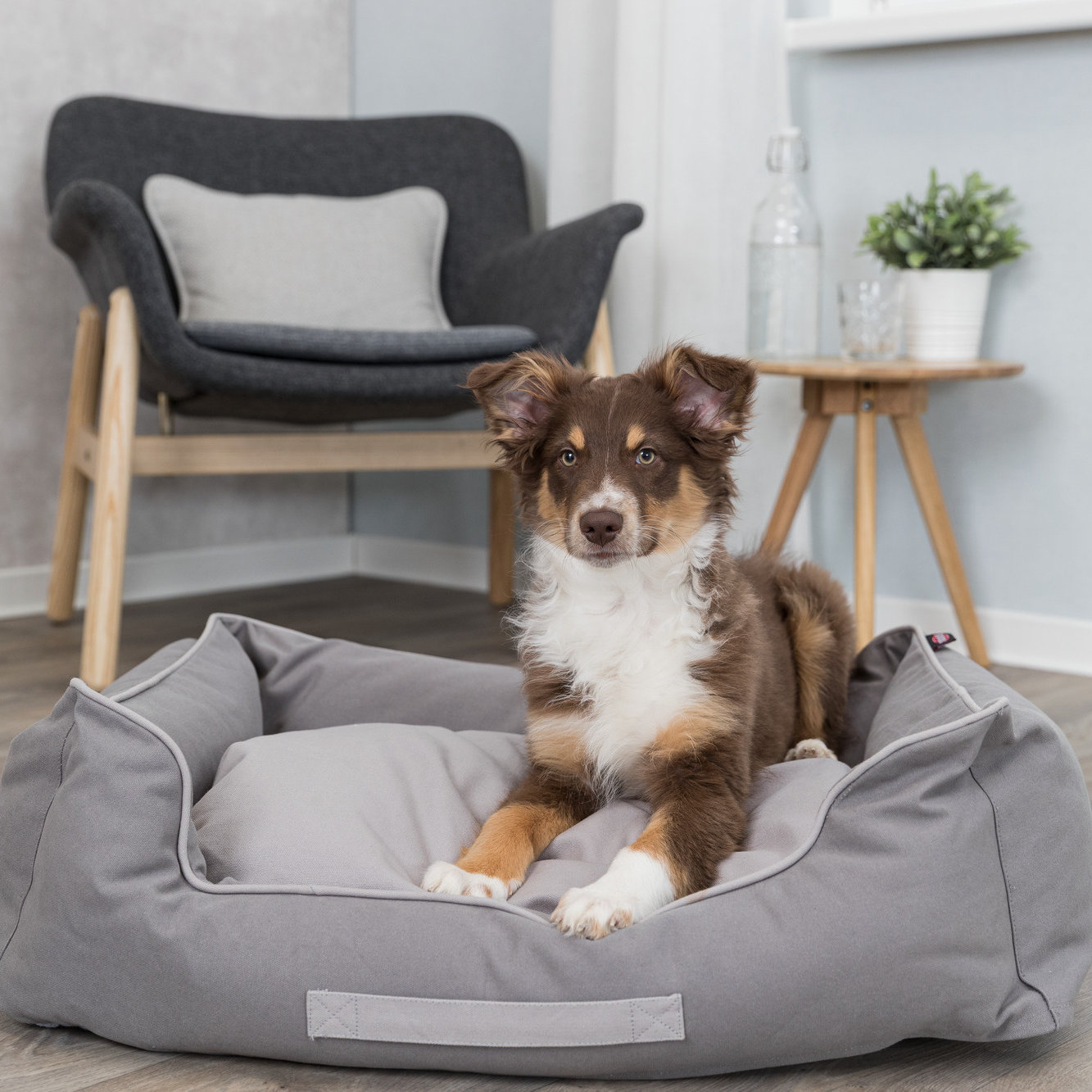 262651_PHO_PRO_DOG_37506-1 Eco Bett Danilo