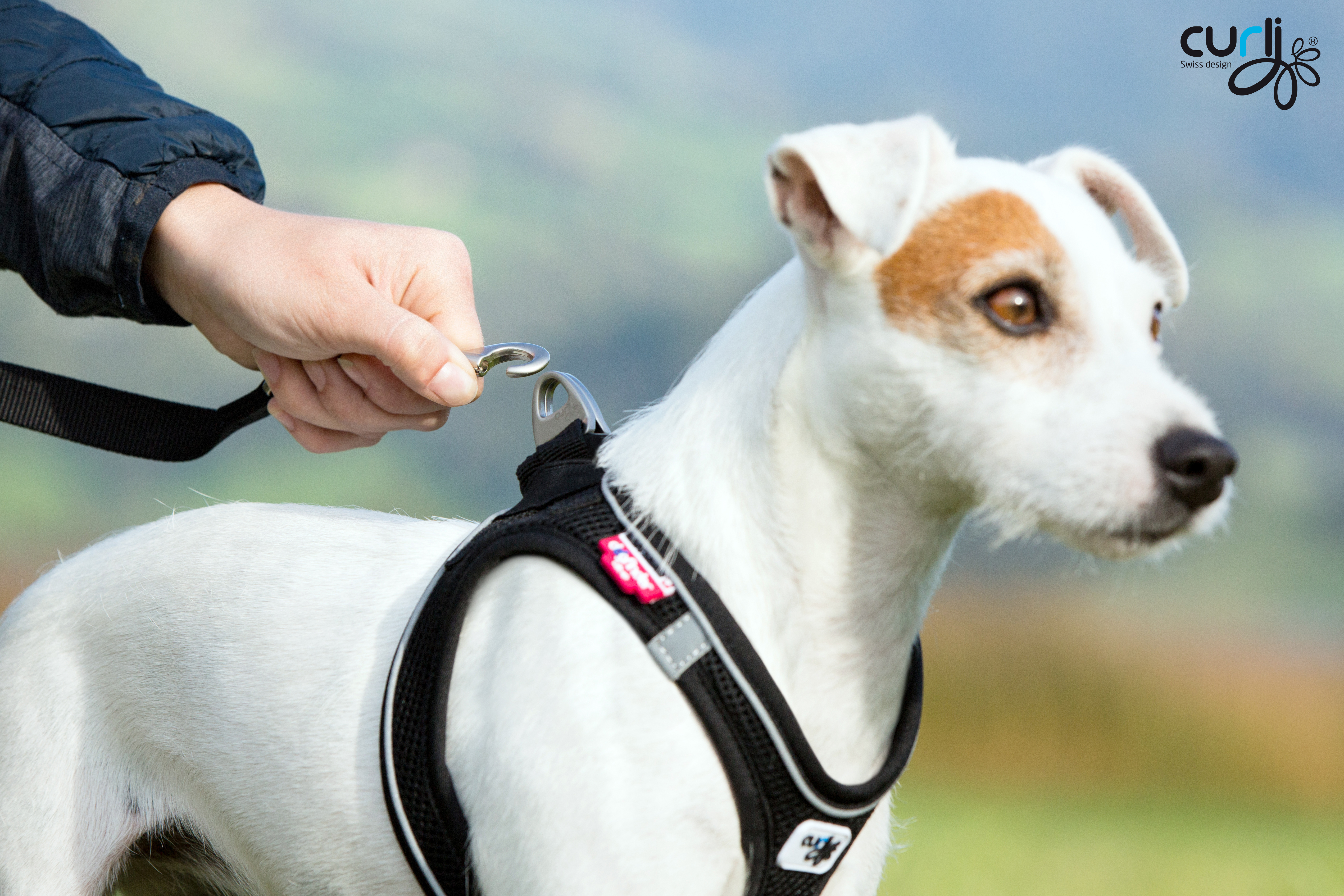 Magnetic Vest Harness Air-Mesh Black XS