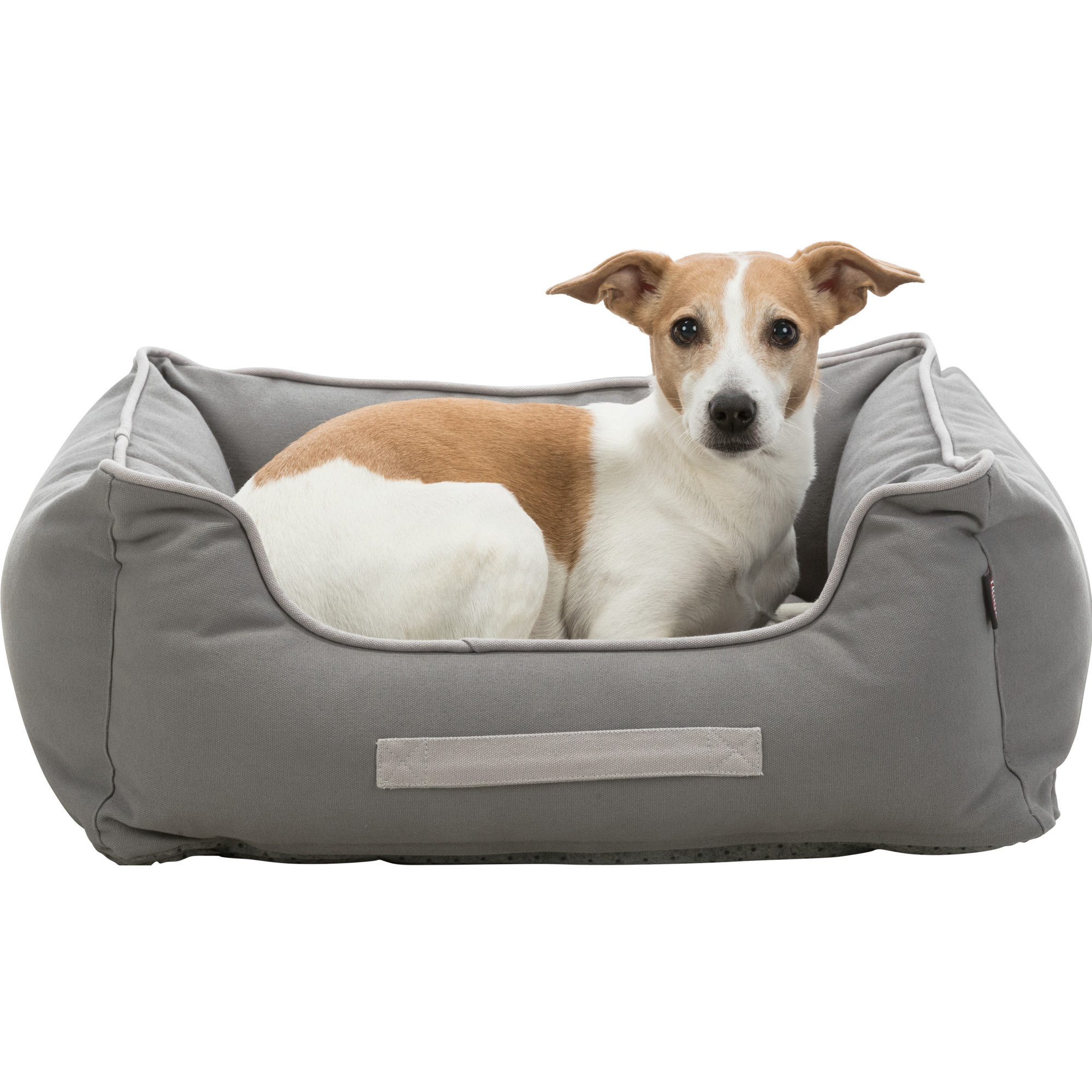 247606_PHO_PRO_DOG_CLIP_37505-1 Eco Bett Danilo
