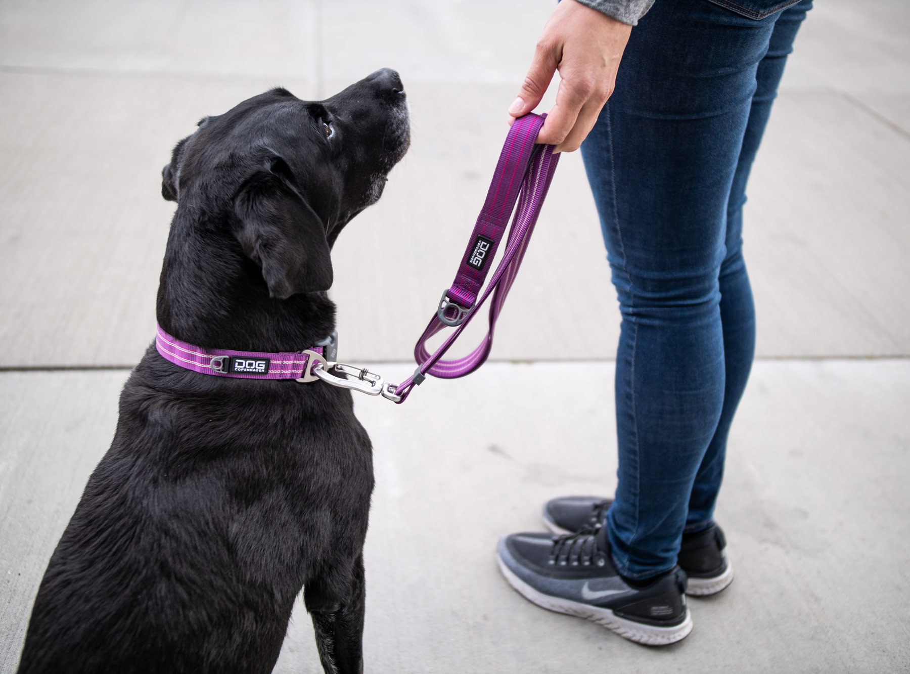 UF-Leash-1-Outdoor-P1022315 SALE V2 Freestyle Leash