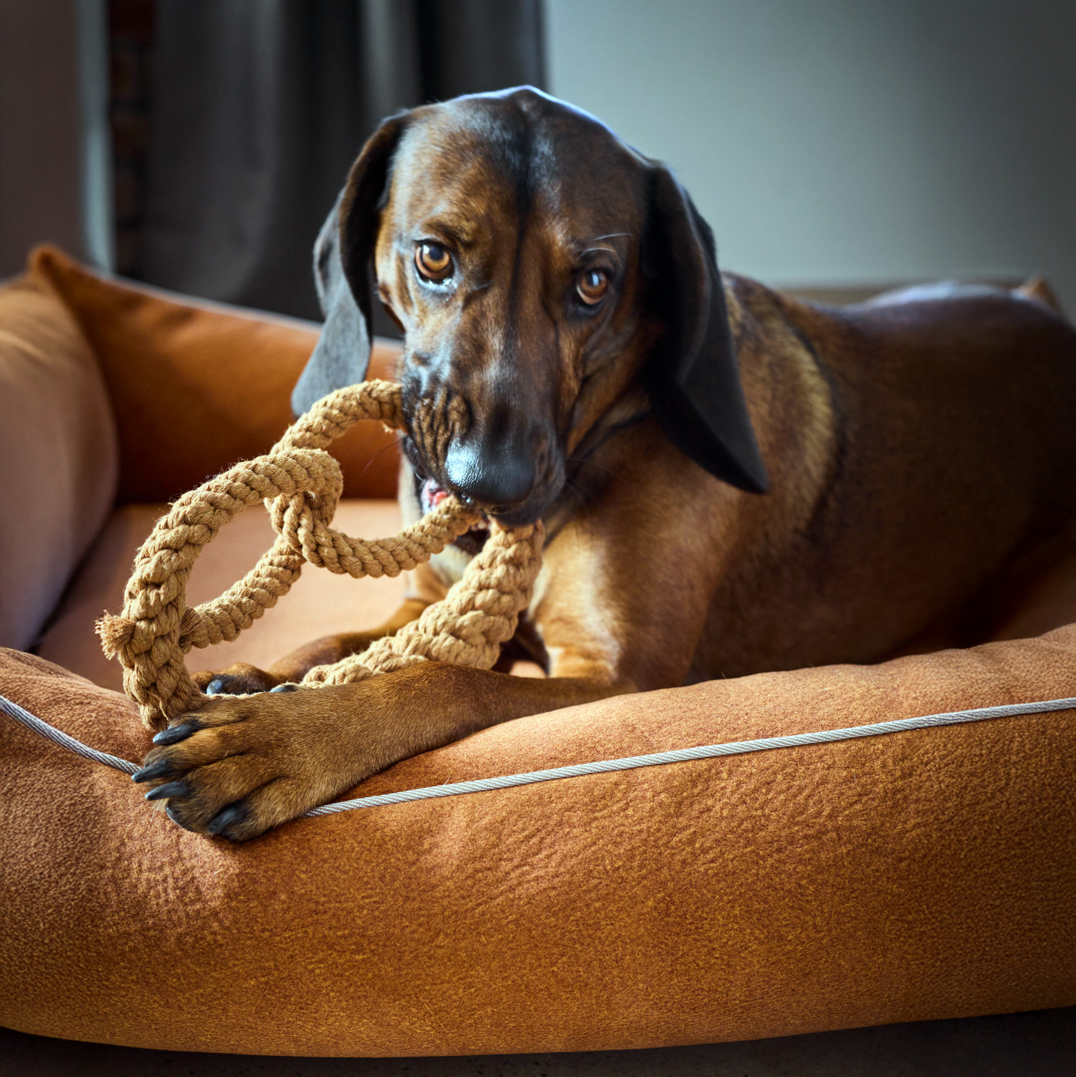 LABONI Britta Brezel