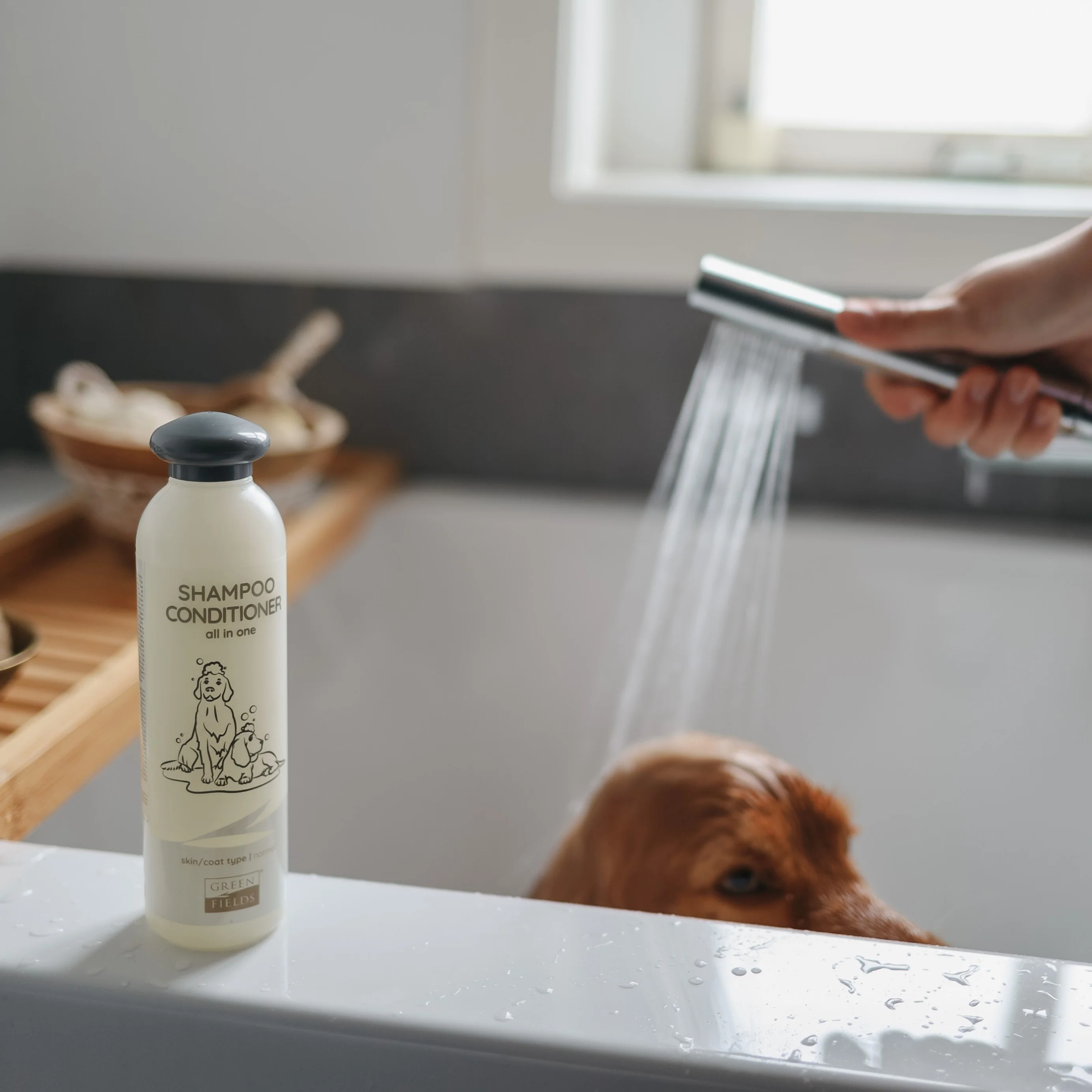 Greenfields Hundeshampoo & Conditioner