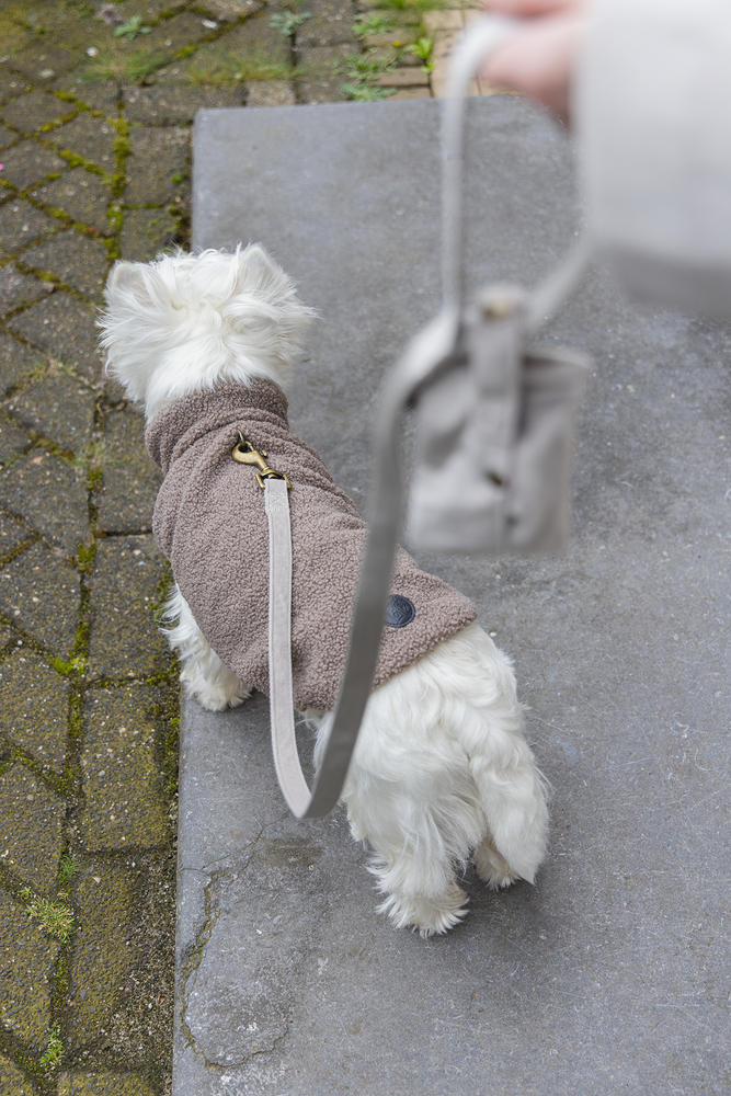 DBL Hundepullover MADELEINE DBL Hundepullover MADELEINE