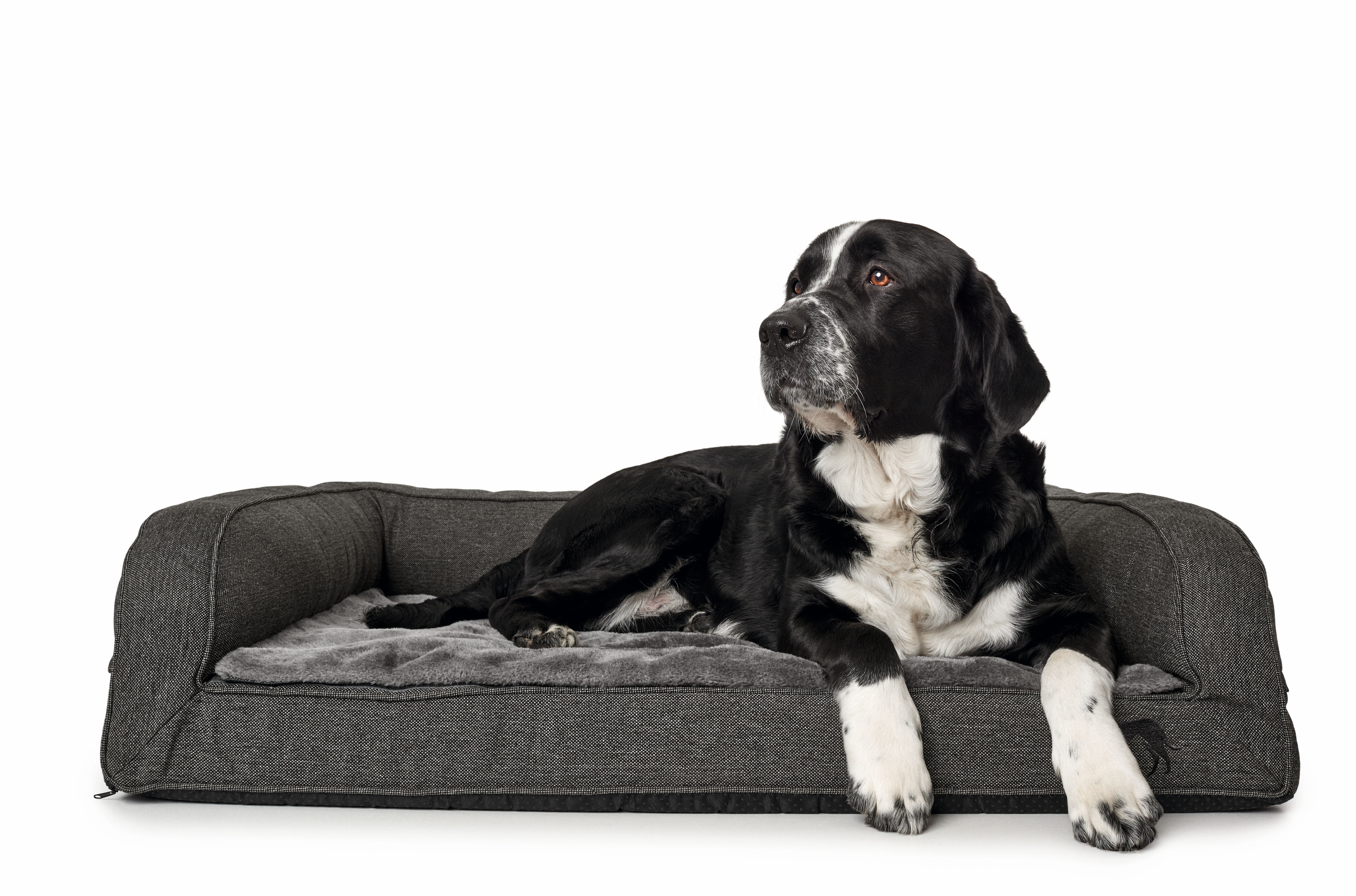 Orthopädisches Hundesofa Livingston