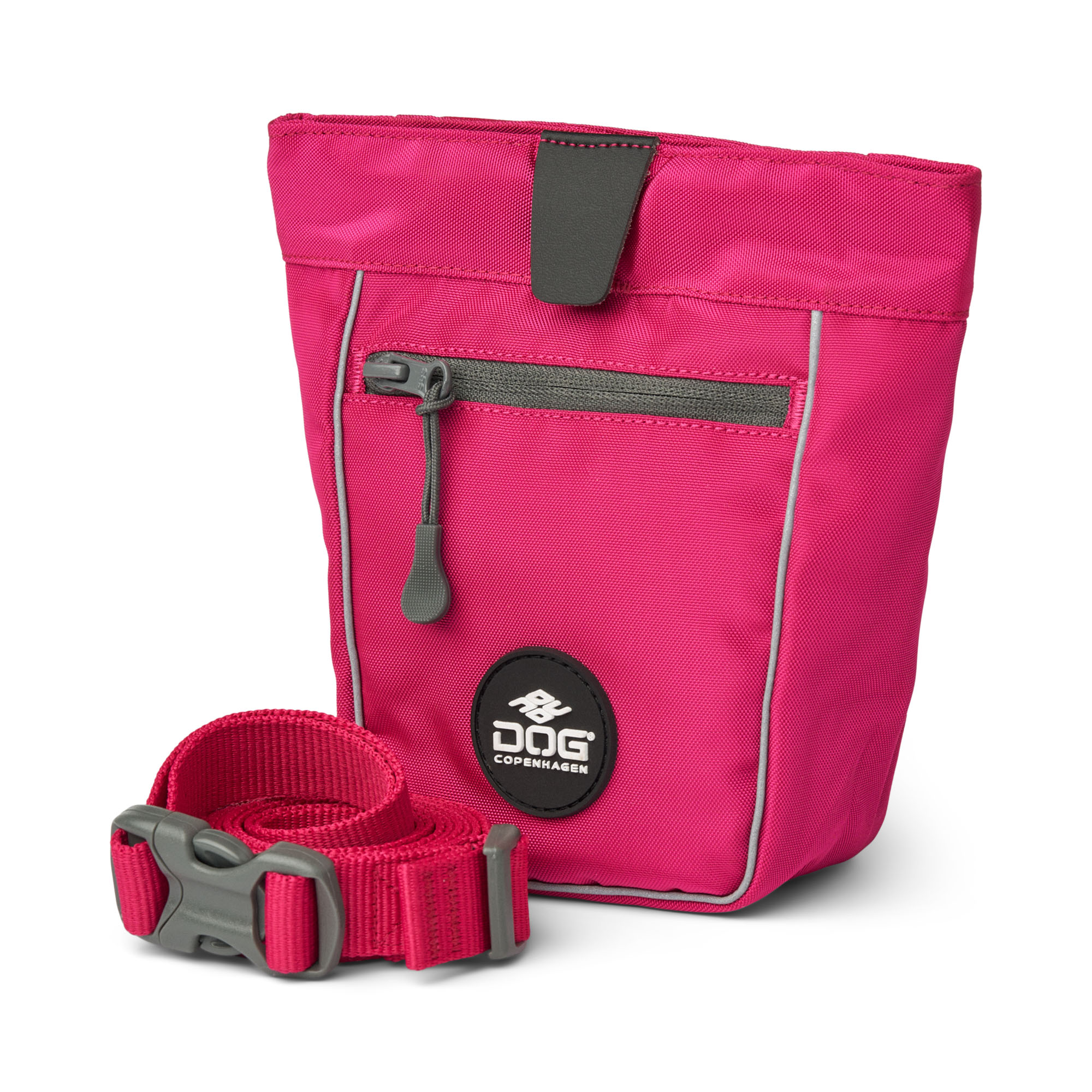 Treat Bag Go Explorer