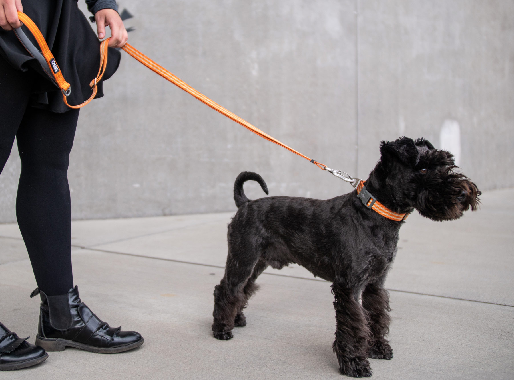 UF-Leash-1-Outdoor-P1022311 SALE V2 Freestyle Leash