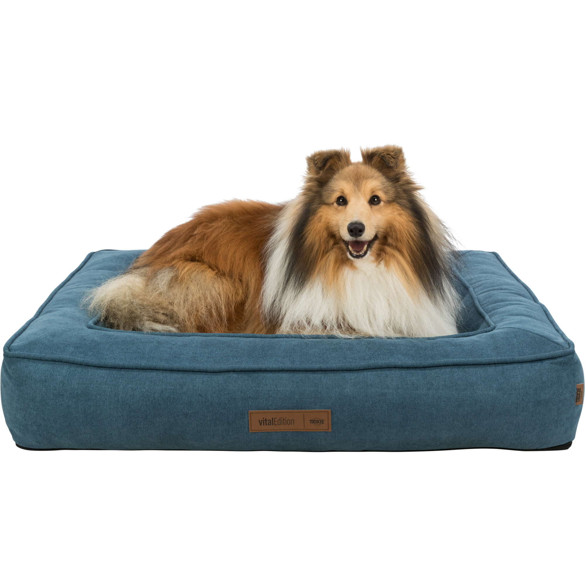 254111_PHO_PRO_DOG_CLIP_36500-36501-1 Vital Bett Tonio