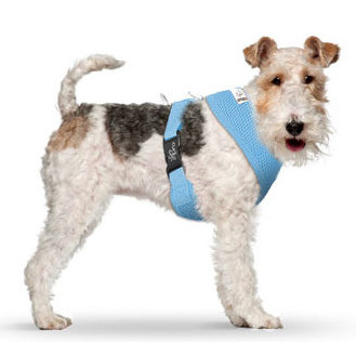 Basic Harness Air-Mesh Light Blue XL