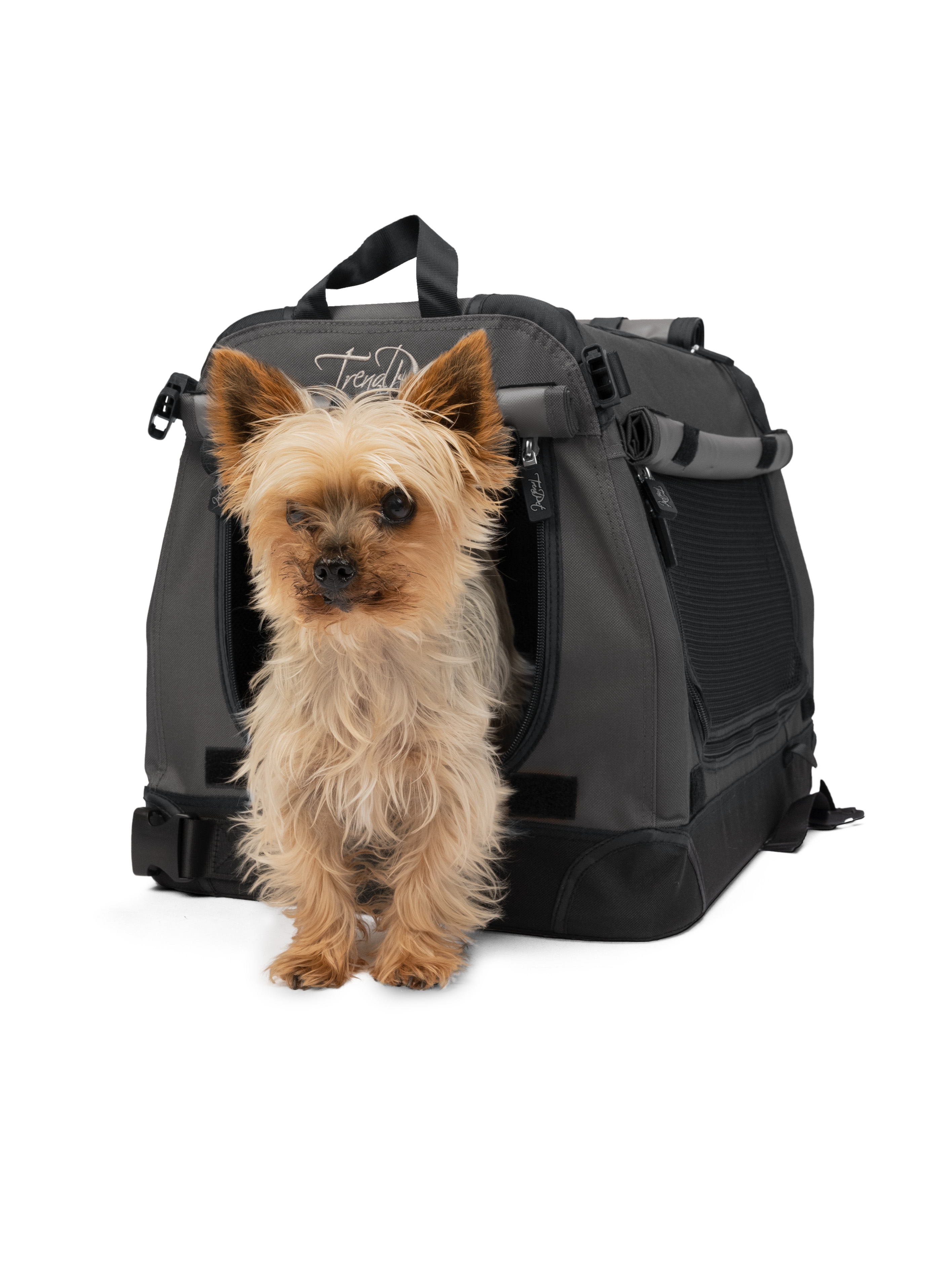 TPX-Pro Hundebox