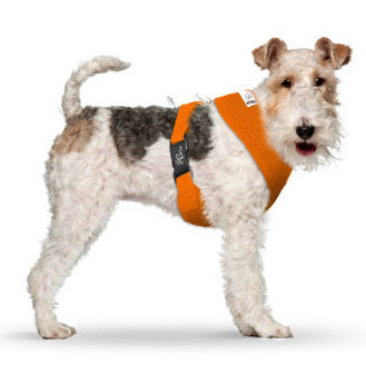 Basic Harness Air-Mesh Orange XS