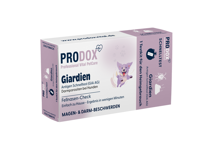 Prodox Schnelltest - Giardien