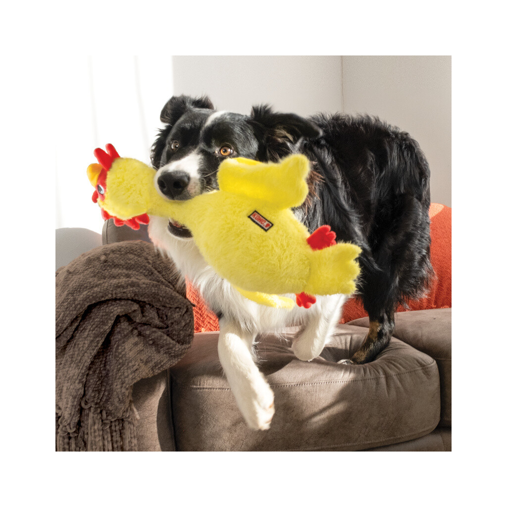 KONG Scruffs Chicken