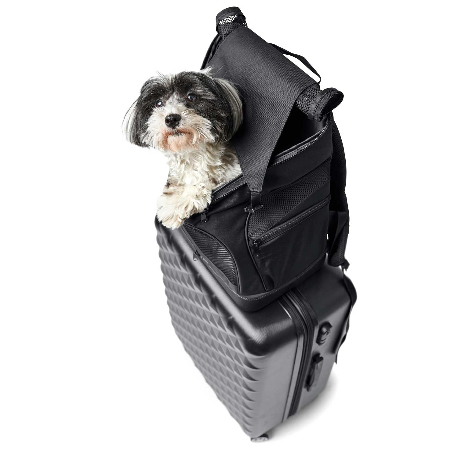Flugtasche & Rucksack Miles Flugtasche & Rucksack Miles