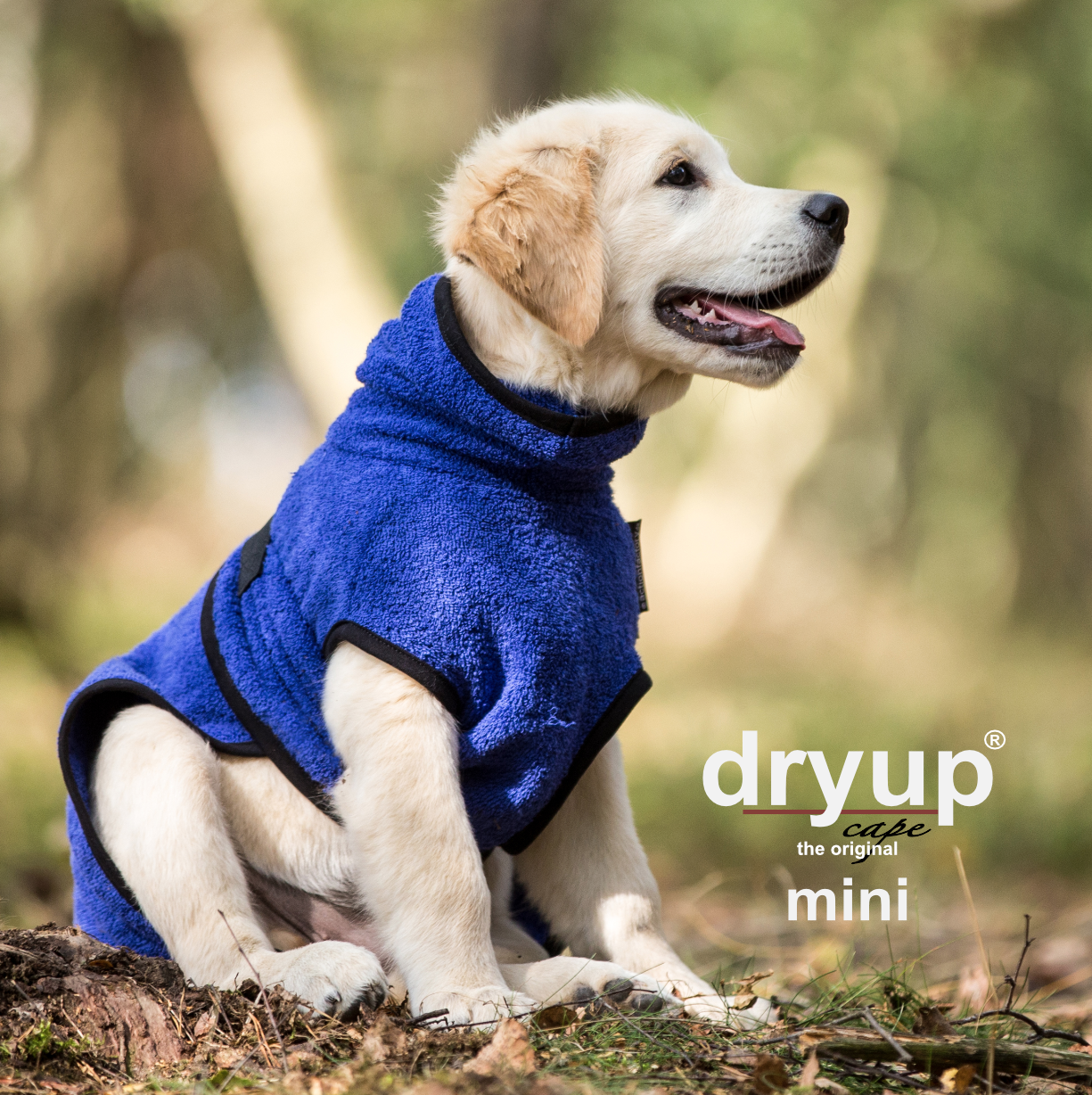 Dryup Cape Mini 30 blueberry (blau)