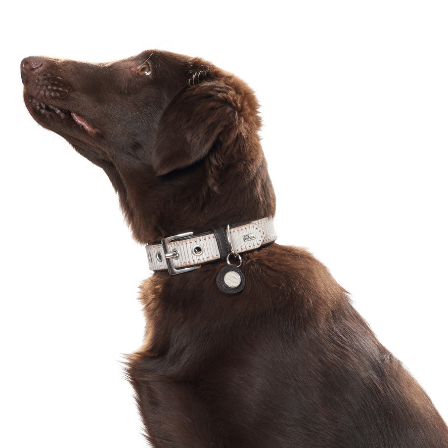 HUNTER_7753_63359_001_image_16-lpr Halsband Lima 30 blau/grau Leder
