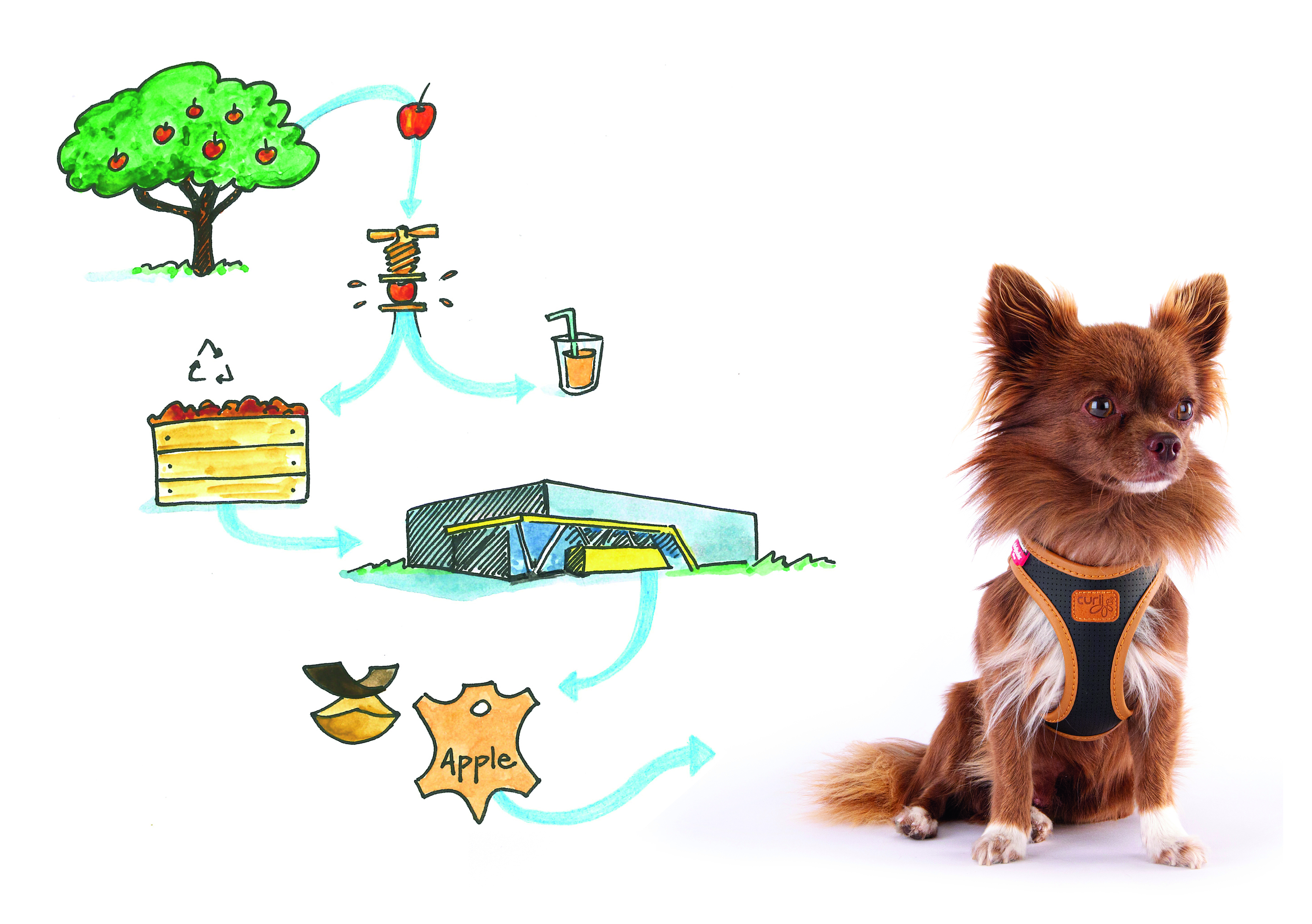 SALE Curli Apple Leather Harness