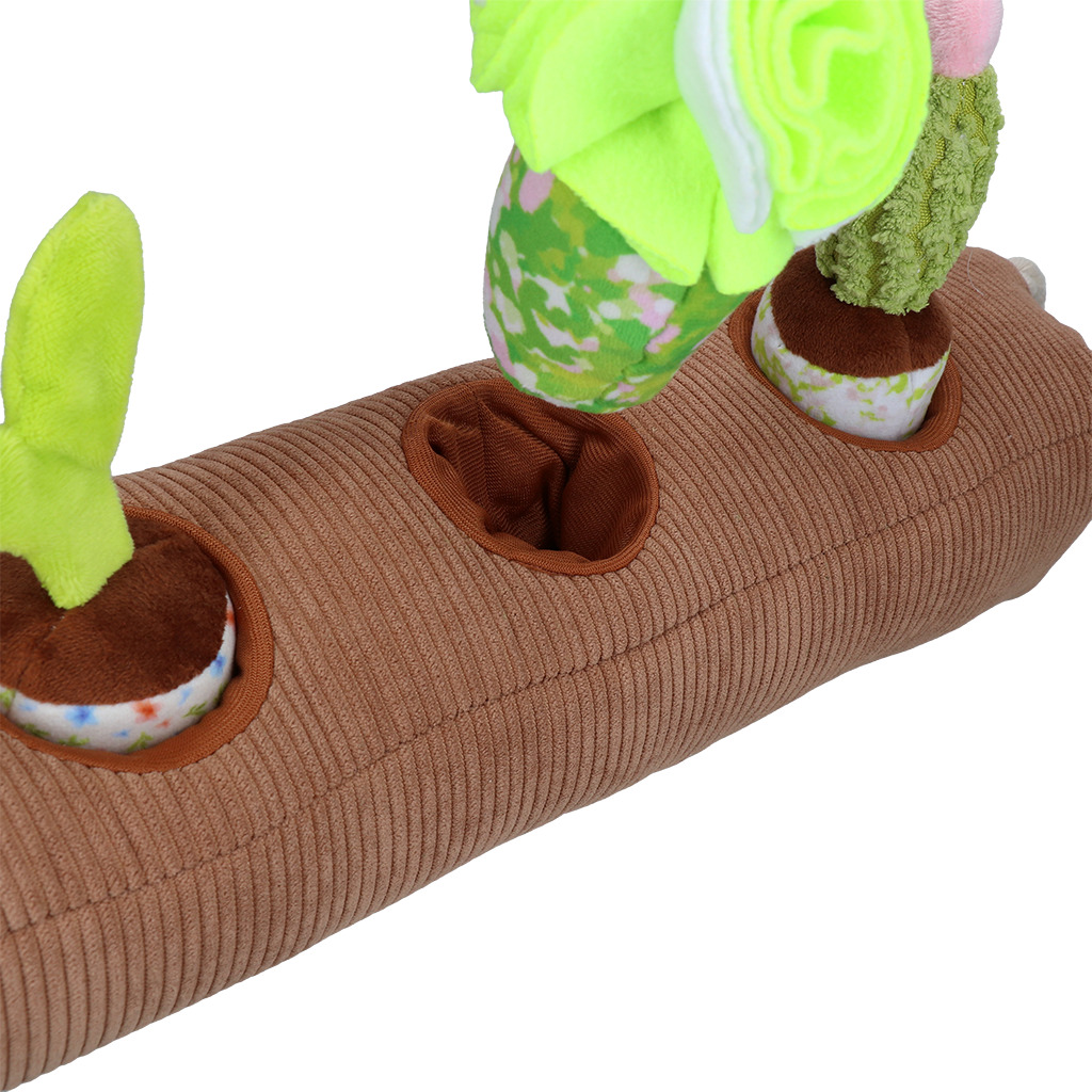 Garden Paws Snuffle Box