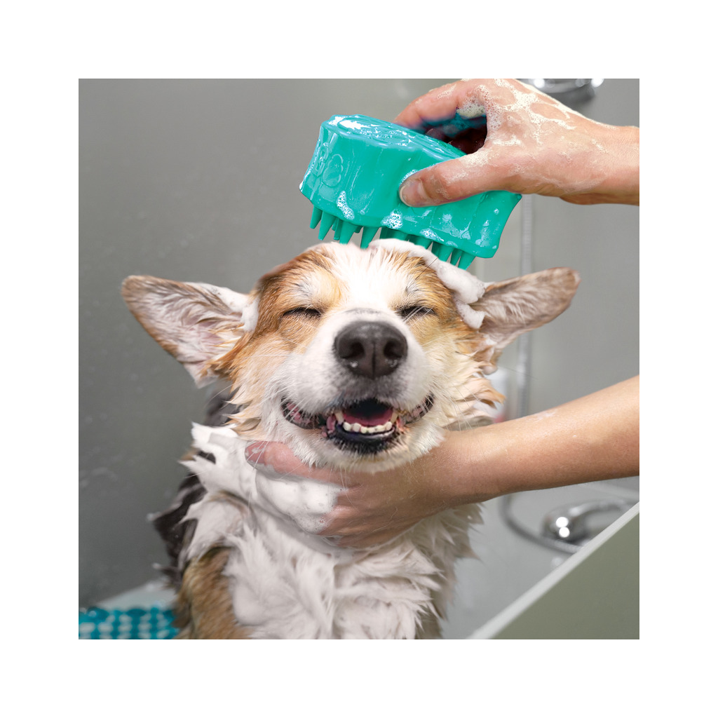 KONG ZoomGroom Bubbles