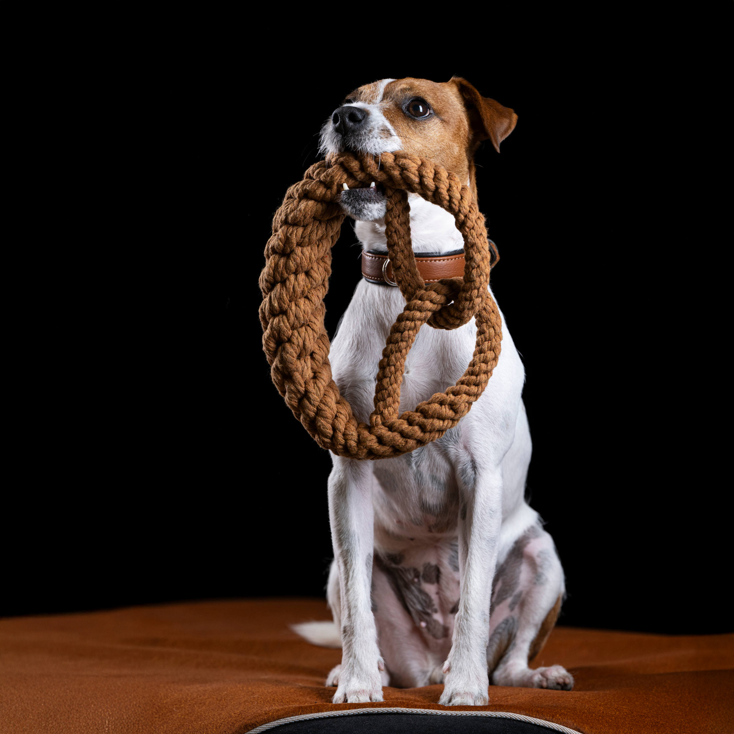 LABONI Britta Brezel