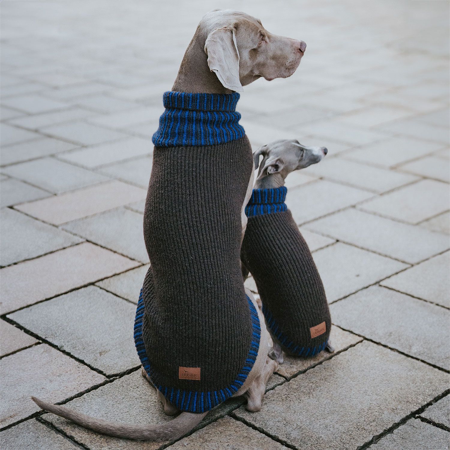 Hundepullover Odense mit Mütze (Set)